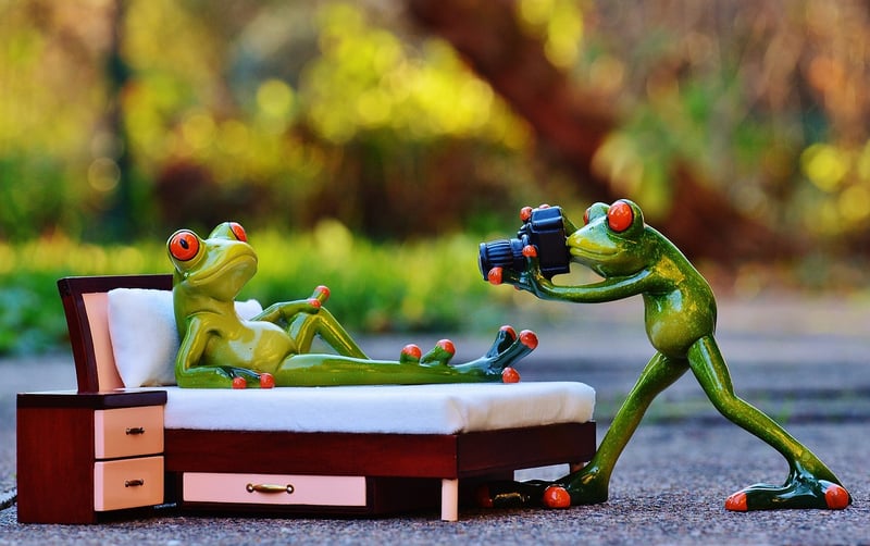 Wildlife Photographer